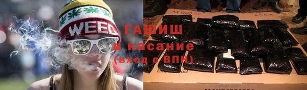 гидра Белокуриха