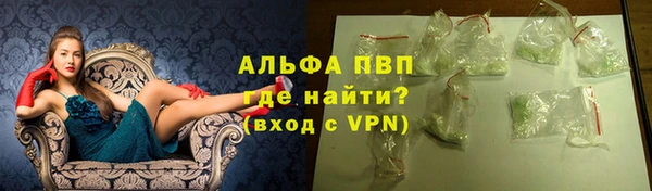 гидра Белокуриха