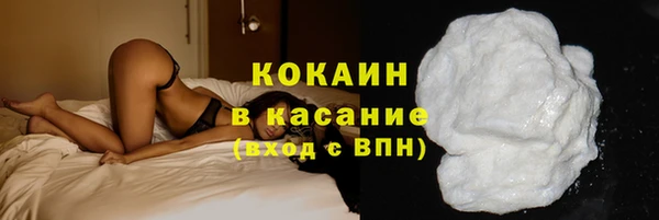 гидра Белокуриха