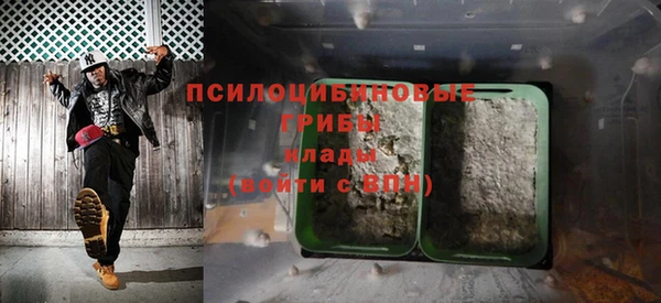 гидра Белокуриха