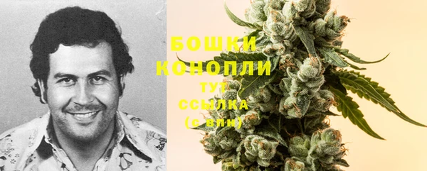 гидра Белокуриха