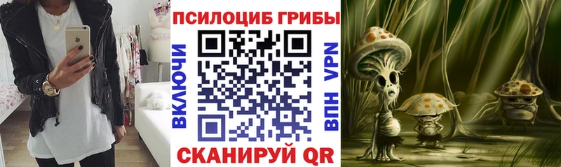 дарнет шоп Усолье Псилоцибиновые грибы ЛСД